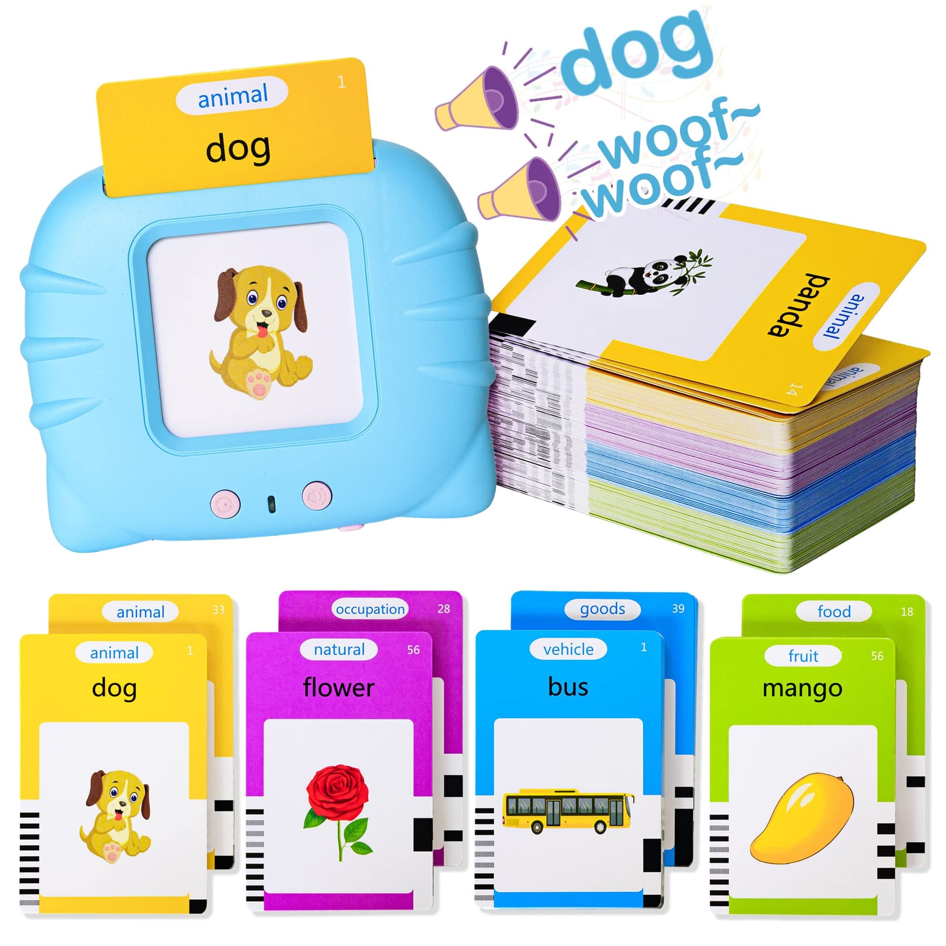 Talking Flash Card