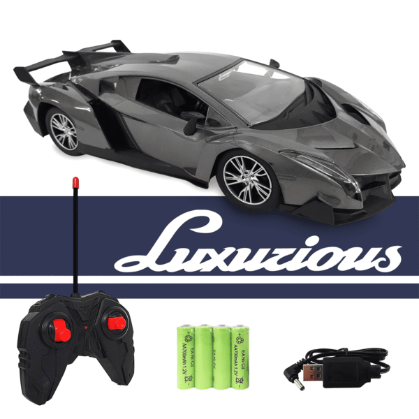 Lamborghini RC Model Car